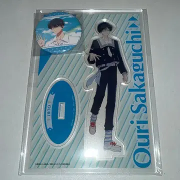 타몬 군 지금 어느 쪽!? 사카구치 사쿠리 아크릴 스탠드 캔뱃지 2개