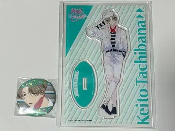 타몬 군 지금 어느 쪽!? 케이토 아크릴 스탠드 캔뱃지