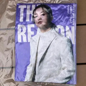 즉시 구매 THE REASON 야마모토 쇼고 쿠션 도쿄돔 !