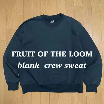 프룻 오브 더 룸 블랭크 맨투맨 멕시코제 앞V 가제트 가지색