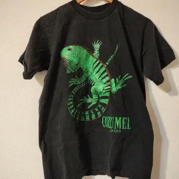 Cozumel 도마뱀 T셔츠