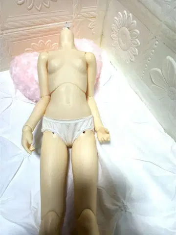 보크스 SD 바디 페어 스킨 중고품