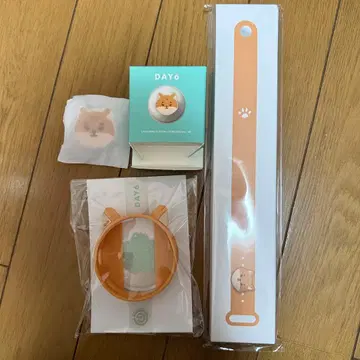 [ 당일 발송 ] DAY6 응원봉 ver.3 KE 커스텀