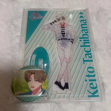 타몬 군 지금 어느 쪽 아크릴 스탠드 캔뱃지 타치바나 케이토