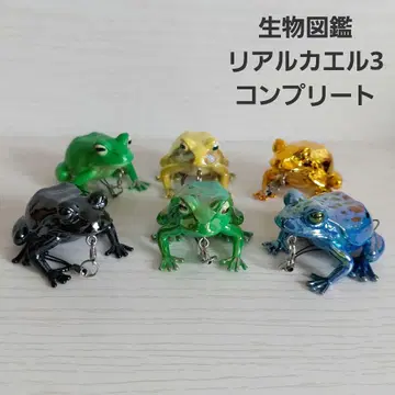 생물도감 리얼 개구리 3 피규어 스트랩 컴플리트 6종 세트