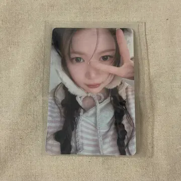 이연 kms focus 중화 트레이딩 카드
