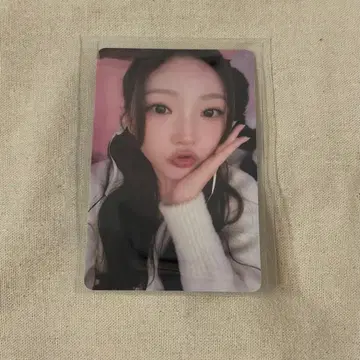 스텔라 kms focus 트레이딩 카드 중화
