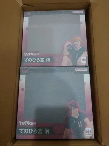 하이큐!! 테노히라 미야 아츠무 미야 오사무