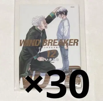 WIND BREAKER 윈브레전 매실 캔 마그넷