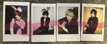 [장미 가능] 자아자아 봄눈꽃 씨 폴라로이드