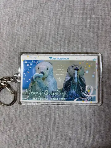 도바 수족관 메이 키라 Happy Birthday