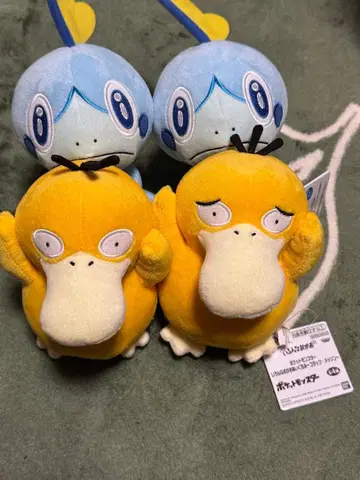 포켓몬 여러 가지 표정 봉제 인형 물로리 코닥 4체 세트