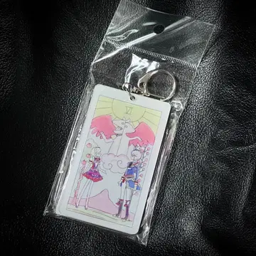 파라네타 아이돌랜드 프리파라 시쿄인 히비키 그린풍 후와리 아크링 키링