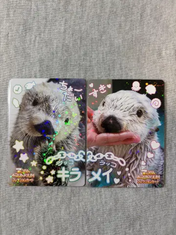 도바 수족관 컬렉션 카드 vol.2 랏코 [키라] 랏코 [메이]