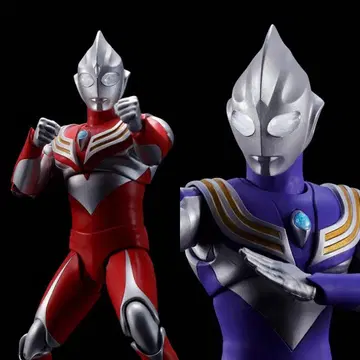 S.H.Figuarts (진골조제법) 티가 스카이 타입 파워 타입