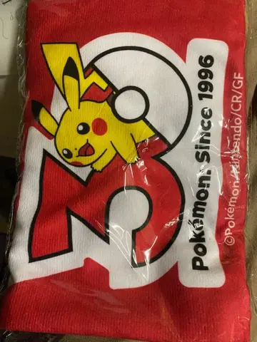 포켓몬 피카츄 판초 카프 배포품