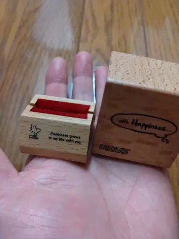 스누피 피너츠 반지 케이스