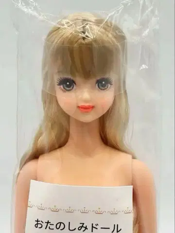 타마키 리카짱 캐슬 오타노시미 인형 백금발 계열 제니 프렌드