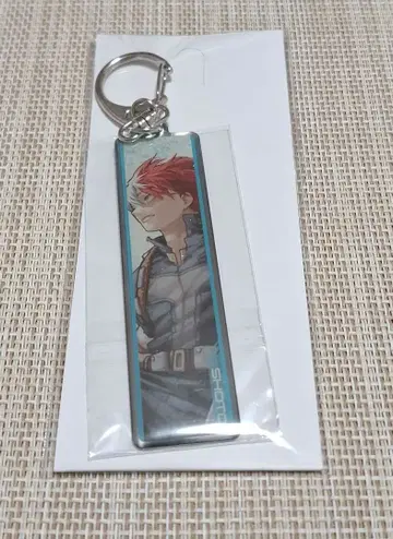 나의 히어로 아카데미아 토도로키 쇼토