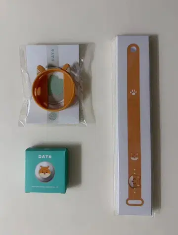 DAY6 라이트밴드 커스텀 세트 KE