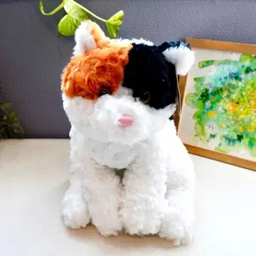 고양이 봉제 인형 삼색 고양이 첼시 칼리코캣