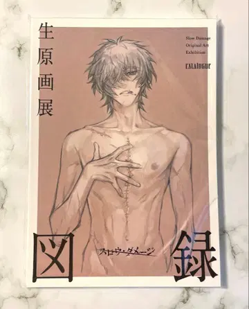 슬로우 데미지 생원화전 도록 슬로우 데미지