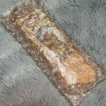 제일복권 죠죠의 기묘한 모험 H상 로고 컬렉션 3부