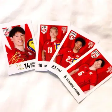 남자 배구 카드