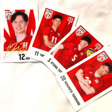 남자 배구 카드 금박