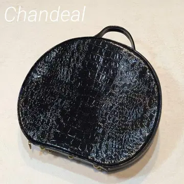 [ 미사용급 ] 샹데르 플라멩코 코르도베스 의상 케이스 백 악어 무늬