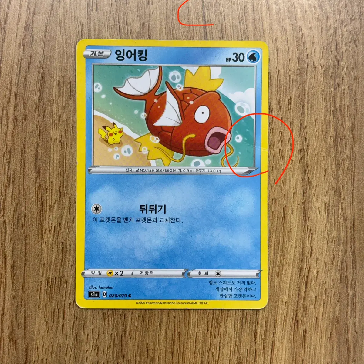Pokemon Card Magikarp AR on Bunjang Global Site.