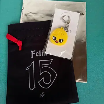 Stray kids 전시회 VR Felix 키 커버 복조리