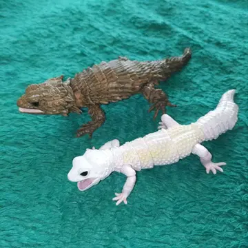 리얼한 도마뱀 피규어 2체 세트