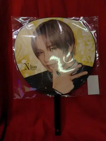 25년 N/bias 나카지마 켄토 풍기사들