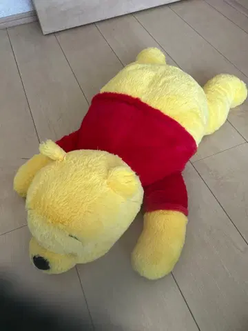 디즈니랜드 곰돌이 푸