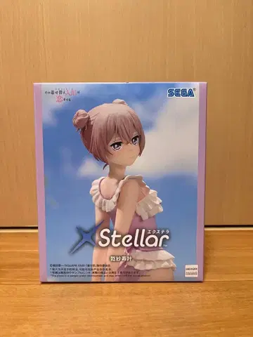 그 비스크돌은 사랑을 한다 이누이 사쥬카 피규어