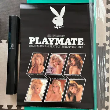 쇼와 레트로 플레이메이트 1987년 달력 원박스 포함