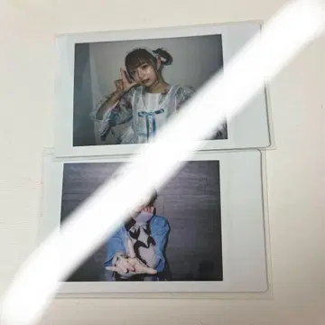 SWEETSTEADY 오토이 유이 폴라로이드