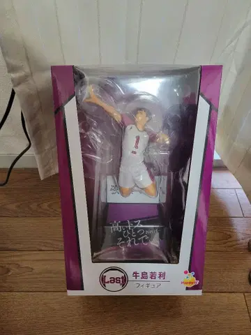 하이큐!! 우시지마 와카토시 피규어