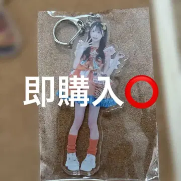 나나코로비야오키 곰 열매에도 아크릴 키링