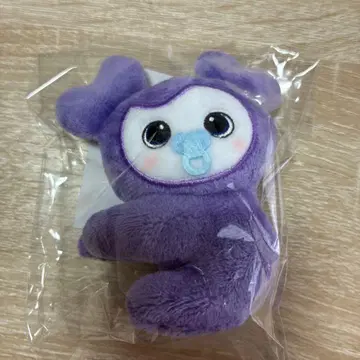 TWICE 사나 안고 다니는 마스코트 MISAMO