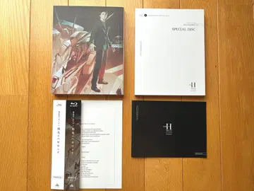 기동전사 건담 섬광의 하사웨이