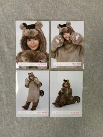 사쿠라자카46 나카가와 치히로 동물 인형옷 4종 컴프