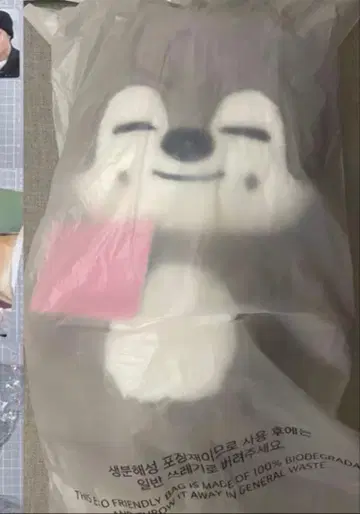 straykids 스키즈 테디베어 SKZOO 울프찬 teddy
