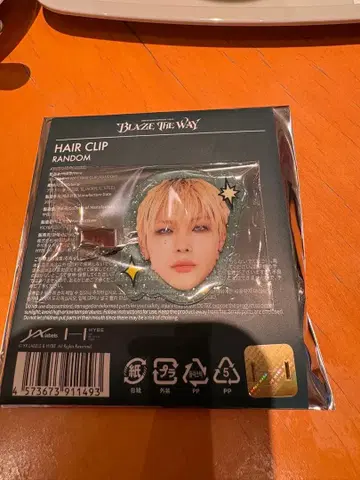 BLAZE THE WAY 헤어 클립 랜덤 니콜라스