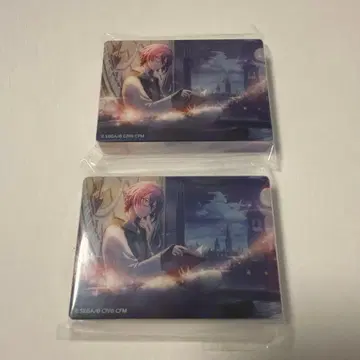 프로세카 카미시로 루이 노블 아트 vol.56