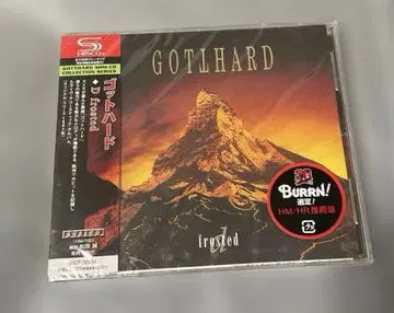 초레어!! D frosted 고트하드 GOTHARD CD