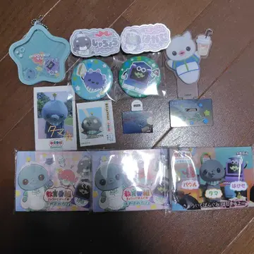 교육 방송 타마 하카세 샤쵸 캐베지 콘 우루 팝업 캔뱃지