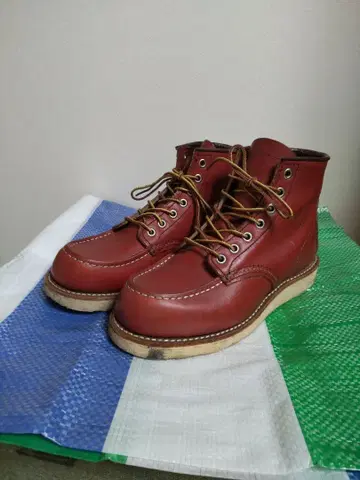 REDWING 레드윙 아이리쉬 세터 8875 23cm