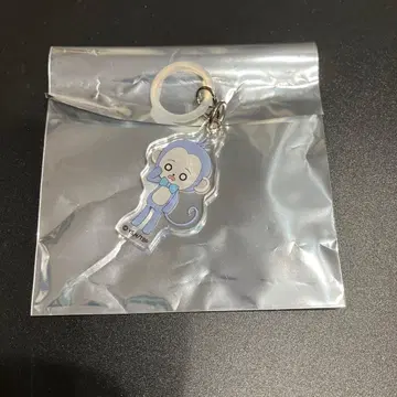 타몬 군 지금 어느 쪽!? 애니멀 F/ACE 메지루시 참 사카구치 사쿠리